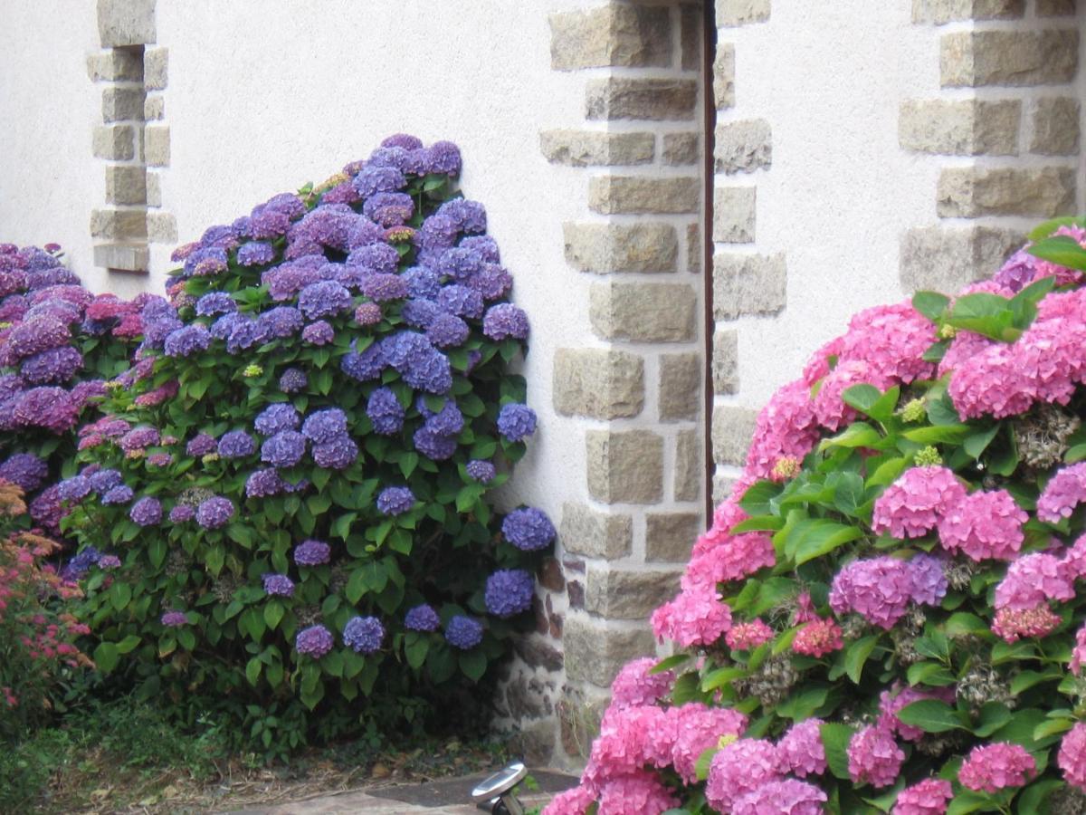 Perrault Gites Loscouet-sur-Meu ภายนอก รูปภาพ