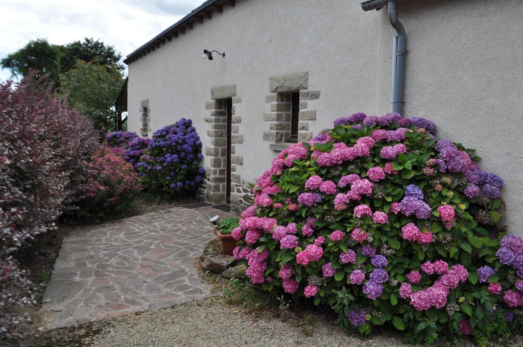 Perrault Gites Loscouet-sur-Meu ภายนอก รูปภาพ